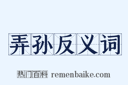 弄孙反义词是什么意思的图片